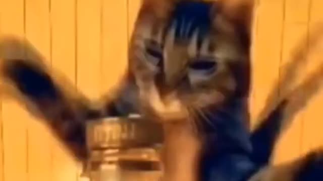 Khaby Lame Fun Reaction