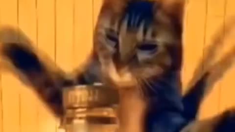 Khaby Lame Fun Reaction