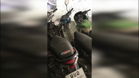 Out of Control Car Crashes Into Shop