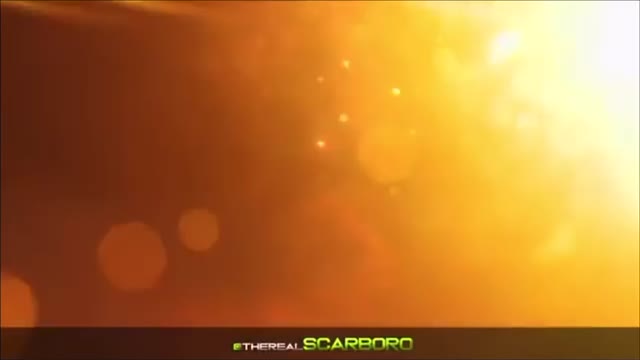 Trump Vid