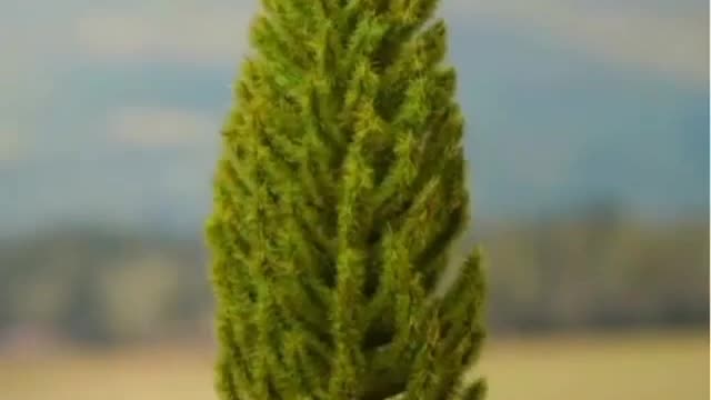 Best Oddly Satisfying video || enjoy and relax with videos with millions of views on Instagram