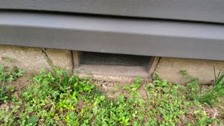 10313 Duke - Repairs - 20210523 - 01