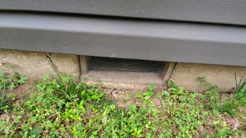 10313 Duke - Repairs - 20210523 - 01