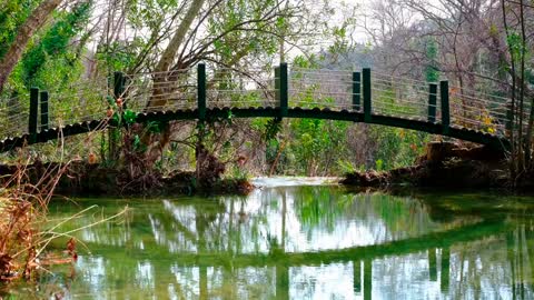 29.Beautiful Bridge -Wooden Bridge-Path Of Water-Waterfall-