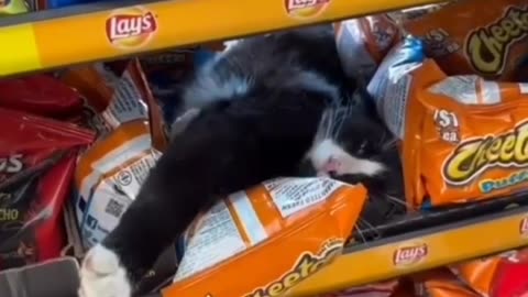 Somebody got the munchies