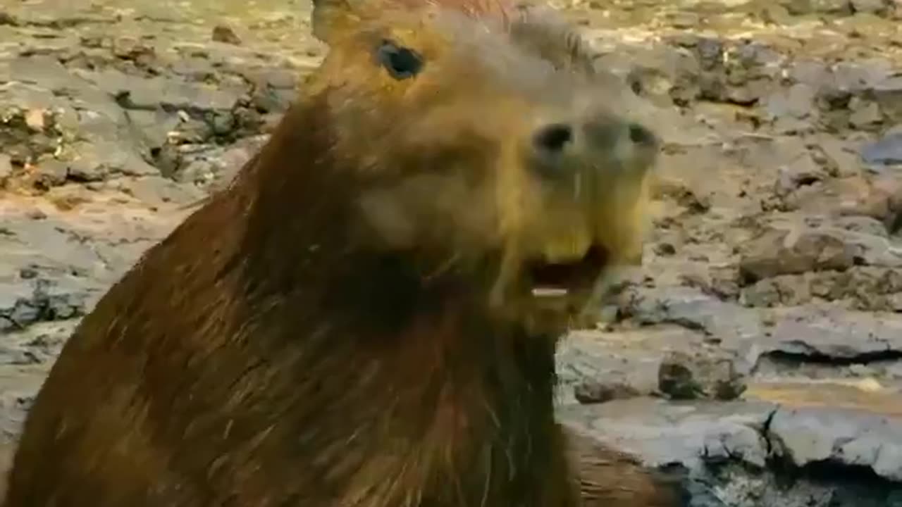Nature is awesome
