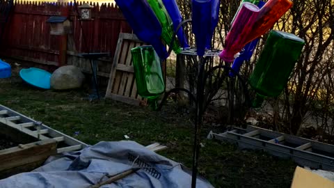 Shannen's Bottle Tree Springtime