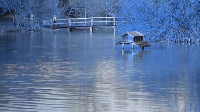 Beside the Lake at Taize