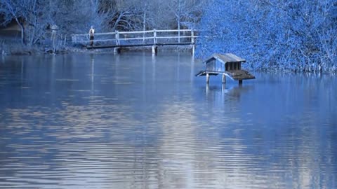 Beside the Lake at Taize