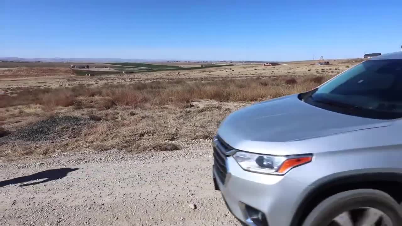 Puppy Surprises Wolf With Alien Invasion Car Ride Chase