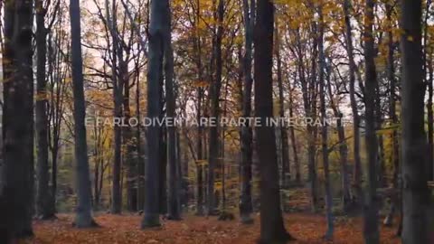 David Icke: Questa realtà non sopravvivera a questo salto energetico