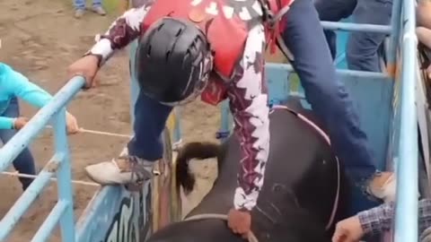 Dangerous Bull riding follow me all Rumble Weavers please thank you