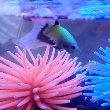 Little Worm doesn't want to talk about his night