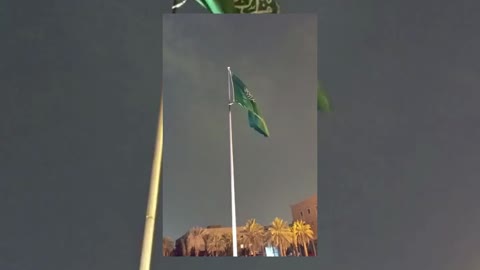 Saudi Flags