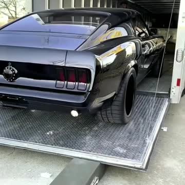 funny|prank|jokes|funny jokes|dad jokes|funny memes|funny video|fun|laughing|funny animal|knock