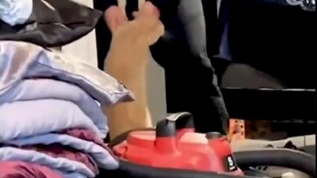 Funny animals try not to laugh 😂😂