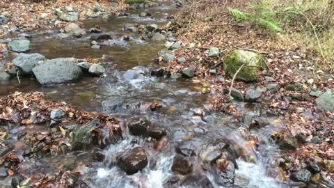 Soothing Waterfall (natural sounds)