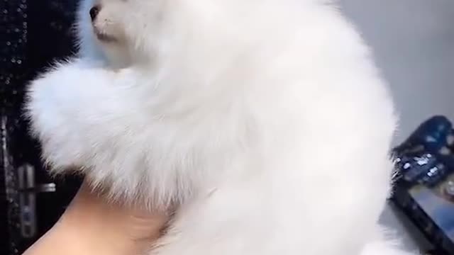 It's like cotton candy