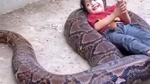 Cute girl snake 🐍 video