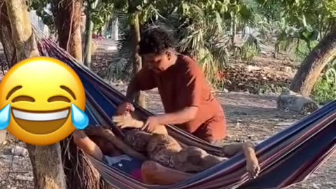 Funny video please like and follow 😂😂😂🤣