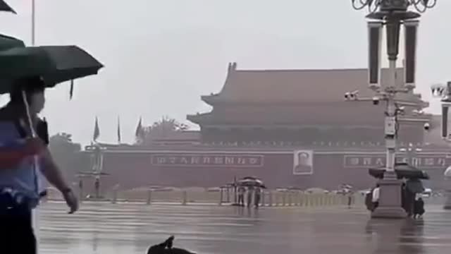 Yesterday: Black Swan has flown and landed directly in the center of Tiananmen Square