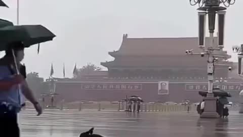 Yesterday: Black Swan has flown and landed directly in the center of Tiananmen Square