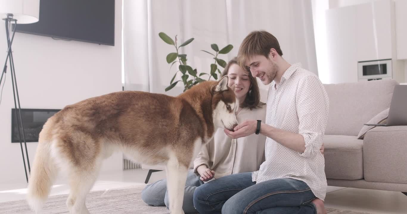 Couple Playing With Their Dog 2#