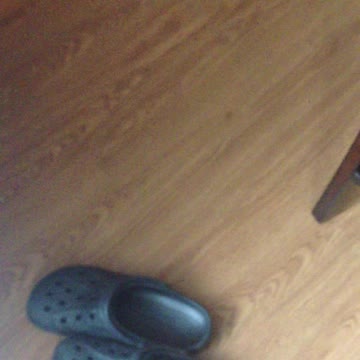 English Bulldog Puppy Is Very Afraid Of Croc Shoes