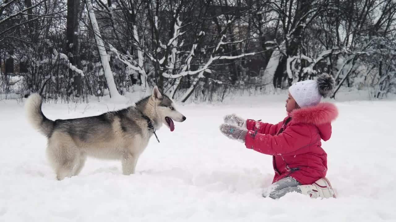 Watch How This Little Girl Loves Playing With Cute Puppy On The Beach