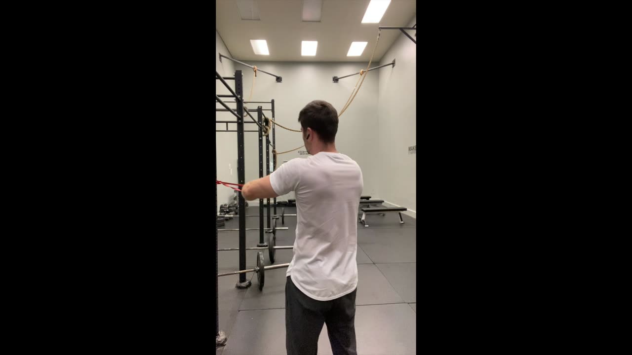 Facepulls