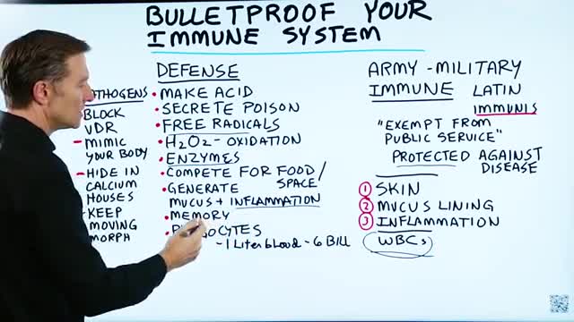 Make Your Immune System Bulletproof