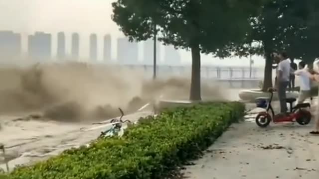 Nature Showing Its Strength 🏝