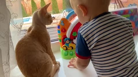 A cute baby and a cat 😽😽😽 A baby and a cat play extremely funny