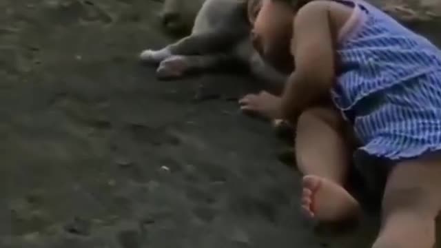 Cuando su mamá regresa a casa encuentra a la pequeña dormida sobre el gato que yacía inmóvil