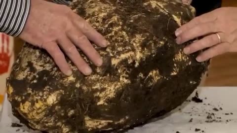 What Scientists Found Inside This Place Shocked the Whole World‼️