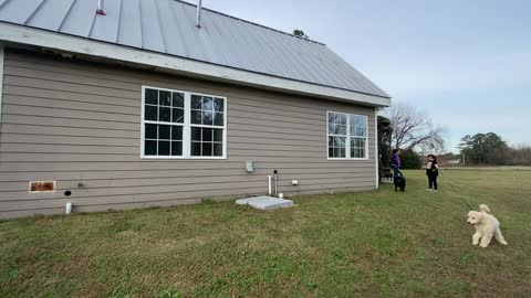 Scarborough house preview part for