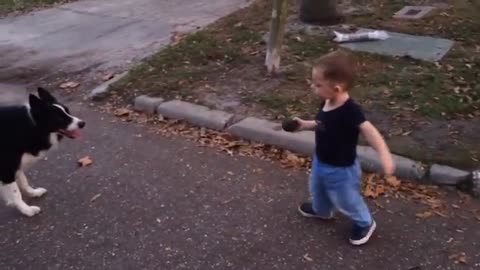 baby playing with dog