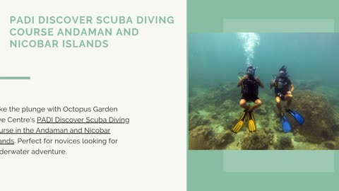 PADI Discover Scuba Diving Course Andaman and Nicobar Islands