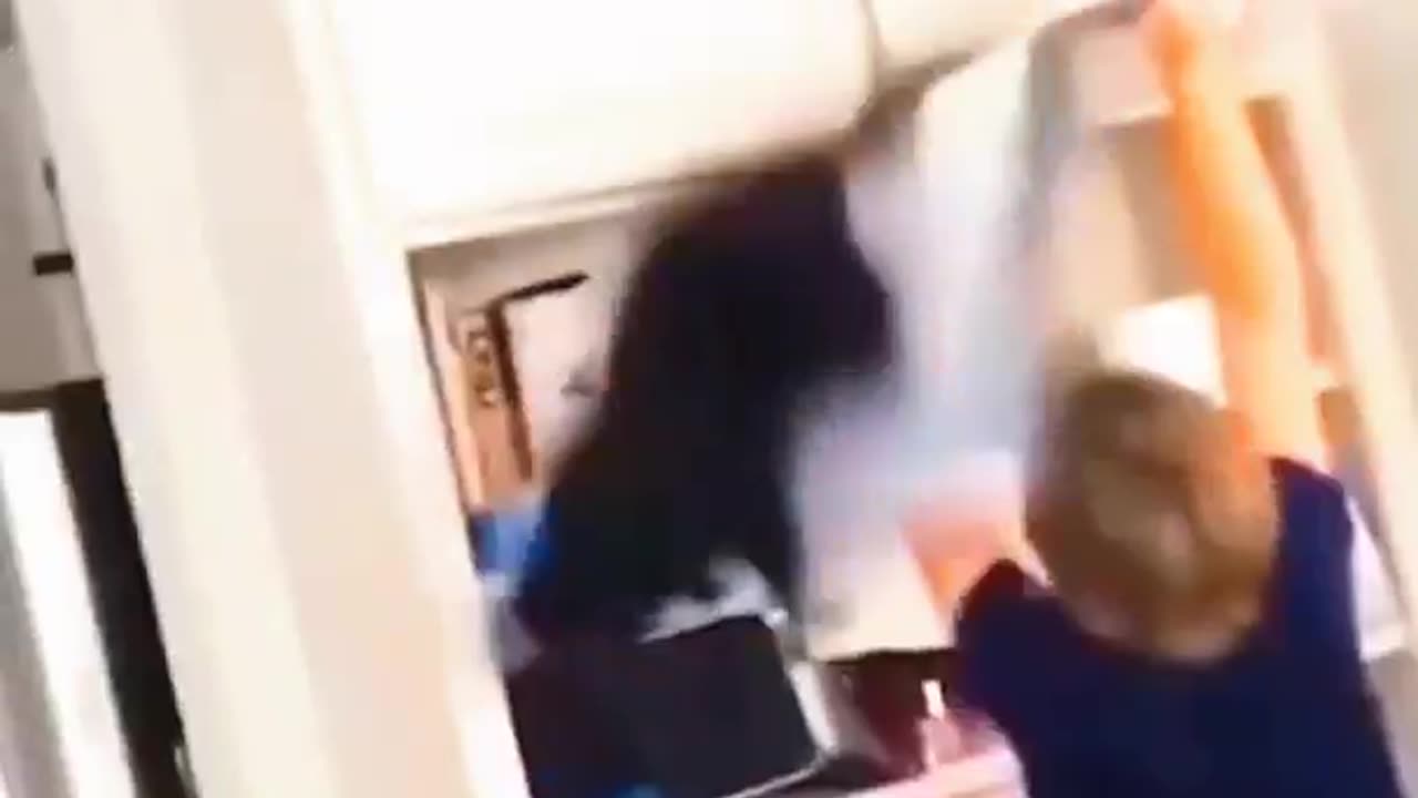 Funny cat video