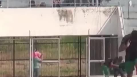 Bolivia football game was attacked by bees, players were attacked and the game was interrupted