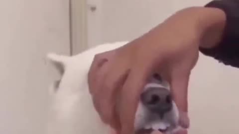 kiss me