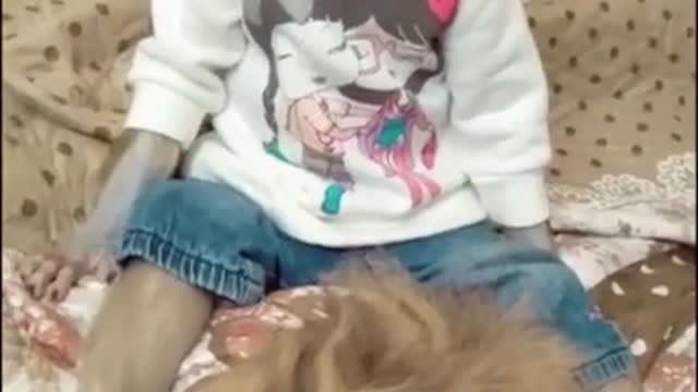 Funny Monkey Massage to cat