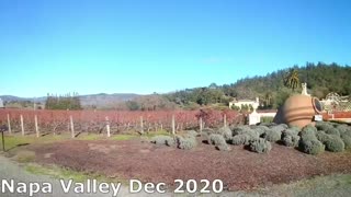 Napa Valley Bicycle RideYountville Oakville Hy 29 Silverado Trail