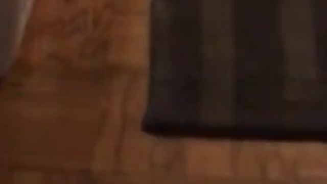 IC PETS FAILS in 1 Minute! 🤣 _ Animal Videos _ Epic Fails #Shorts