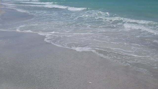 On The Coast at Longboat Key, FL