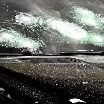 funny|prank|jokes|funny jokes|dad jokes|funny memes|funny video|fun|laughing|funny animal|knock 24