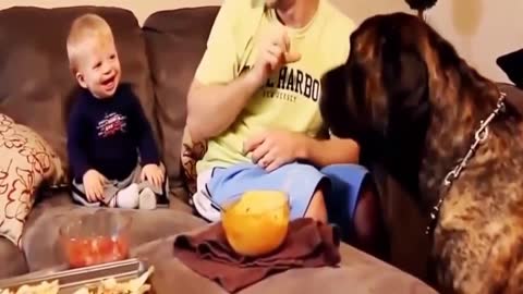 Cute Babies Laughing And Playing With Dogs Funny Videos