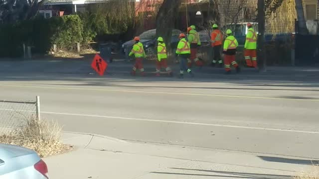 Many Safety vests