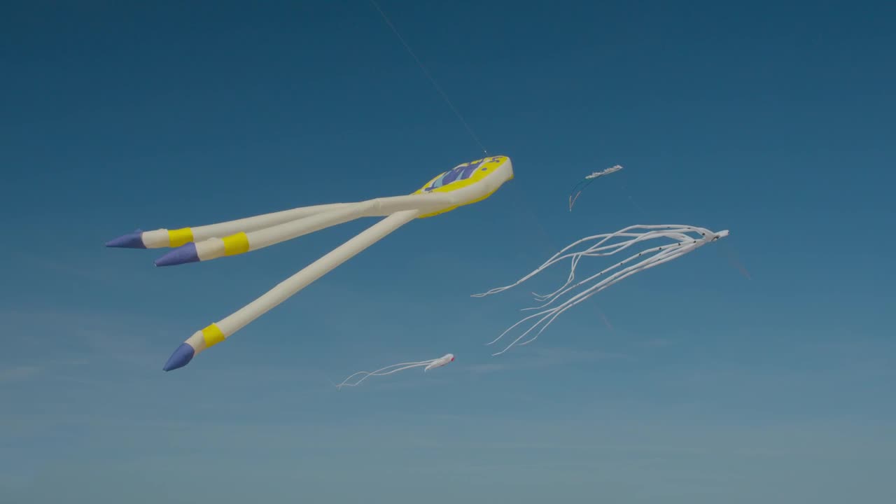 Octopus kites against a blue sky