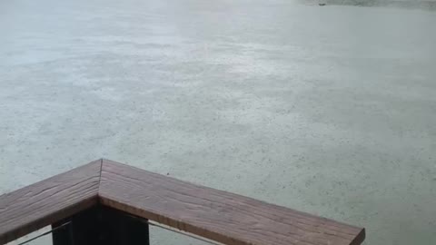Lake Scenery